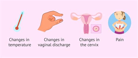 Vaginal Discharge When Ovulating