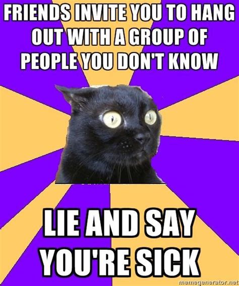 Sick Cat Meme Images Quotesbae
