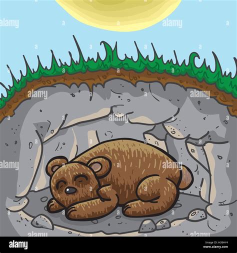 Bear Hibernating Inside Cave Cartoon Peepsburghcom