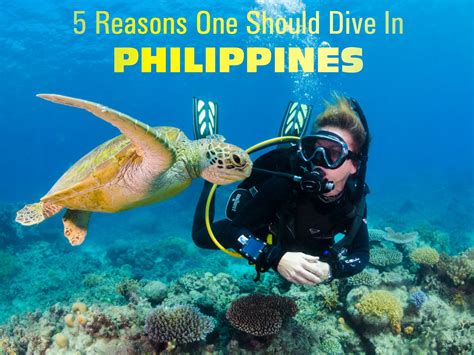 5 Reasons One Should Dive In Philippines Ghoomophiro