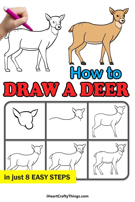 How To Draw A Doe