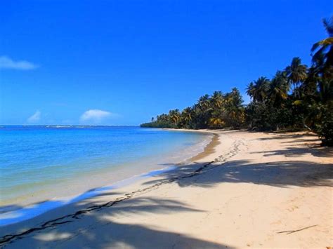 The 22 Most Beautiful Beaches In Samaná Punta Cana Travel Blog