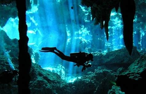 5 Cenotes De La Riviera Maya Que Debes Visitar Aguas