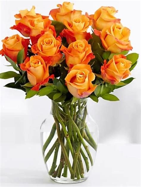 Dozen Orange Roses Vase Free Delivery Carmel Flowers