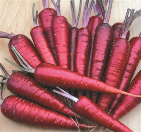 Dragon Carrot Seeds From Lehmans Purple Vegetables Heirloom
