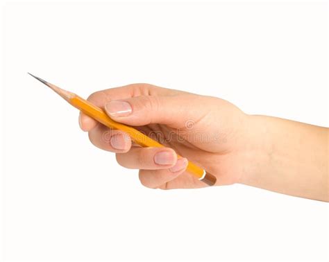 Hand With Pencil Stock Photo Image Of Artist Business 12568520