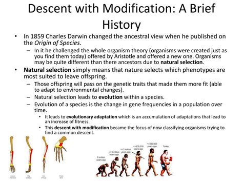 Synonyms for descent with modification in free thesaurus. PPT - Descent with Modification: A Brief History ...