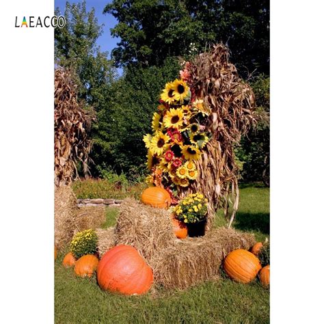 Laeacco Autumn Harvest Pumpkins Haystack Landscape Photography
