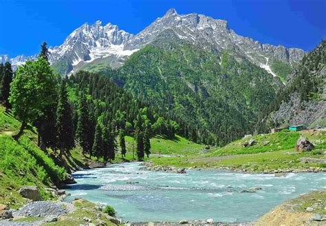 Top 10 Best Places To Visit In Kashmir Honeymoon Bug