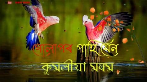 Minä käytän whatsappia which has the same meaning as the english one. Assamese whatsApp status video... - YouTube