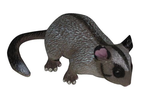 Panjiva uses over 30 international data sources to help you find qualified vendors of australian kitchen equipment. Australian Animal Replica - Leadbeater Possum 8cmL