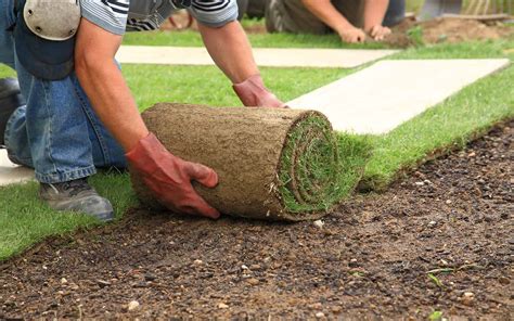 Commercial Landscaping Trends 2022 Varsity Inc