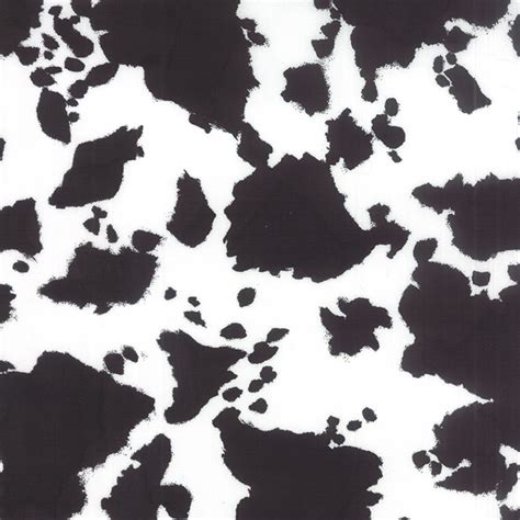 Rawhide Black White Cow Print Western Basics By Sara Khammash