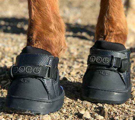 Easyboot Sneaker Regular Front Horse Hoof Boot Easycare Hoof Boots