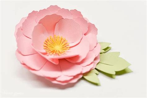 How To Make 3d Cricut Cardstock Flowers Step By Step Instructions