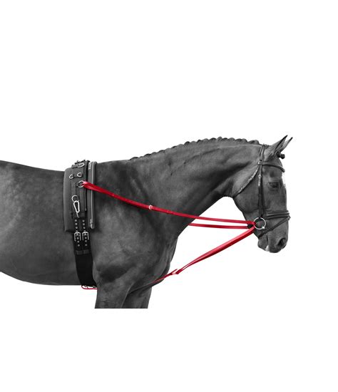 Running Side Reins Ii Lungeing And Schooling Aids Kramer Equestrian