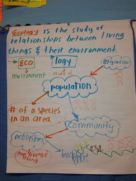 Science Journal Ecosystems Anchor Chart Anchor Charts