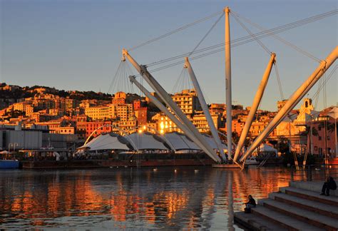 Porto guide with the essential tourist information, including tips by locals. Orientamenti "di Natale", torna la Stranger Room (e non ...