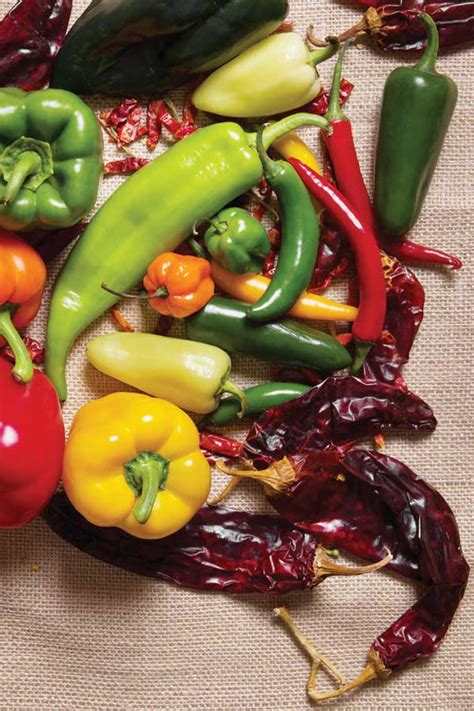 Hot Pepper Varieties Garden Grit Magazine