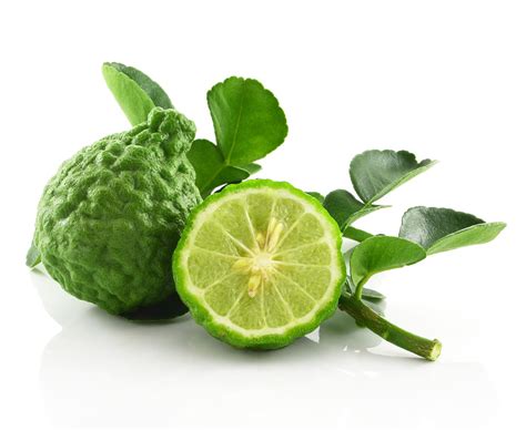 Bergamot Orange (Fo Shou Gan) | White Rabbit Institute of ...