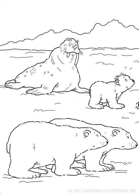 coloriage à imprimer coloriage Plume Le Petit Ours Polaire 019