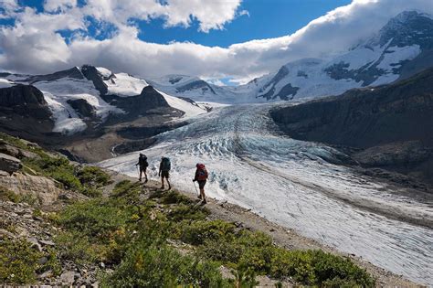 Robson Glacier Trail Side View By Garry Post Ubicaciondepersonascdmx