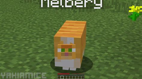 I Made A Resource Pack That Makes Minecraft Cats Obese Youtube