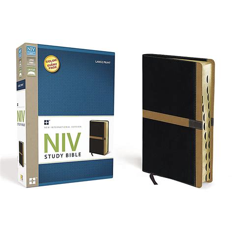 Niv Study Bible Large Print Leathersoft Blacktan Indexed Red