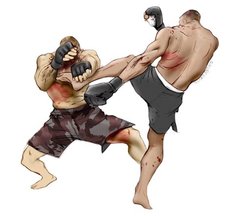 Mixed Martial Arts Png Mma Png Transparent Image Download Size 736x685px