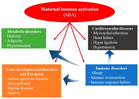 Cells | Free Full-Text | Influence of Immune System Abnormalities