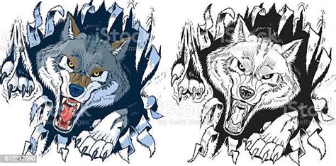 Angry Wolf Ripping Out Background Vector Cartoon Stock Illustration