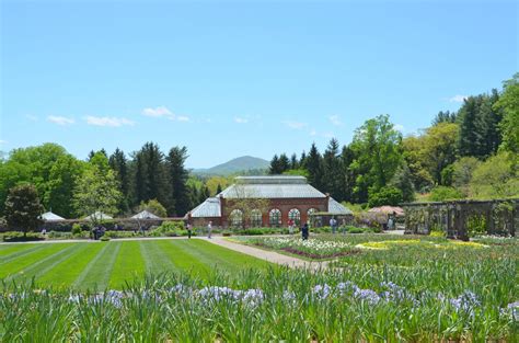 Biltmore 100 The Happy Wonderer ~ Ellen B