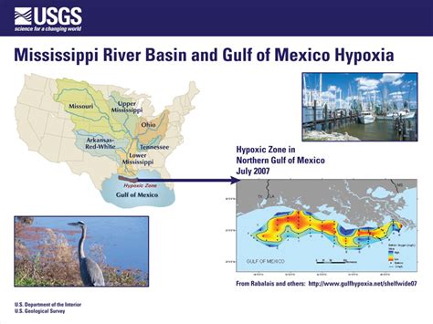 Usgs Nawqa Nutrient Delivery To The Gulf Of Mexico