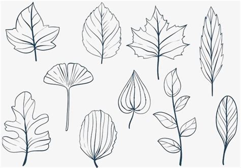 Simple Leaf Drawing At Explore