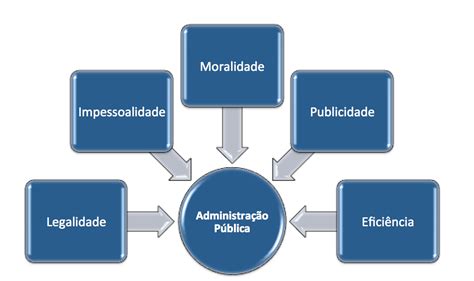 Principios Basicos Da Administração Publica Askschool