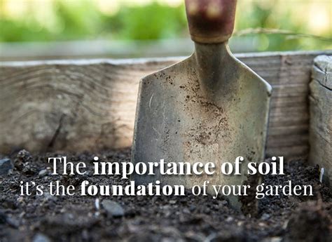 The Importance Of Soil The Foundation Of Your Garden The Herb Exchange