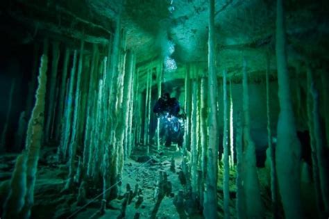 Bahamas Cave Exploration Underwater Caves Cave Diving Underwater