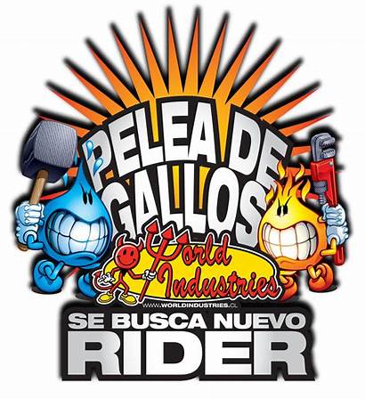 Industries Pelea Rider Nuevo Gallos Busca Chile