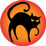 Cat Icon Ico Holiday Veryicon 512px Icns
