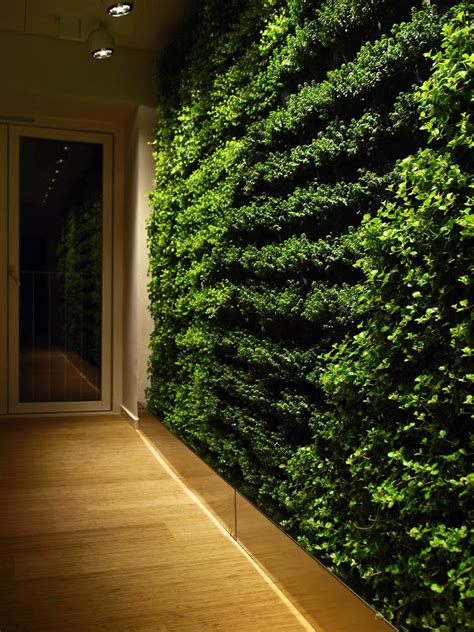 Plant Wall By Greenworks