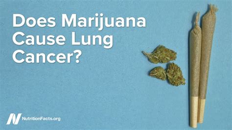 Check spelling or type a new query. Does Marijuana Cause Lung Cancer? - HealingPlus