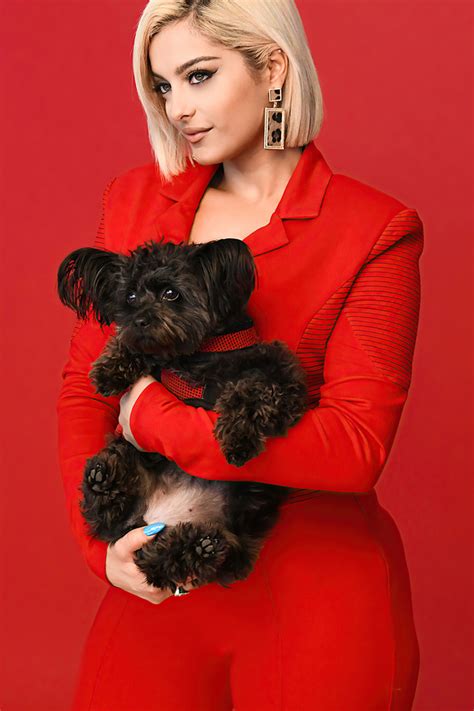 If you want the same image from cas, then you need a complete cc is available in the link below the post. 640x960 Bebe Rexha Bebe Campaign 2020 iPhone 4, iPhone 4S ...