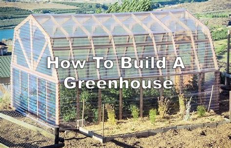 How To Build A Greenhouse Off Grid World