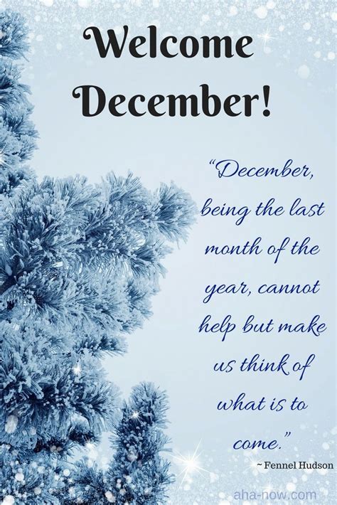 Happy December Everyone December Being The Last Month Of The Year