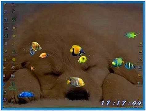 Fish Aquarium Screensaver Windows Xp Download Free