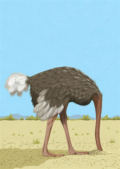 Ostrich With Its Head Buried In The Sand Memes Imgflip