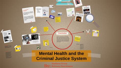 Mental Health And The Criminal Justice System By Maddie O