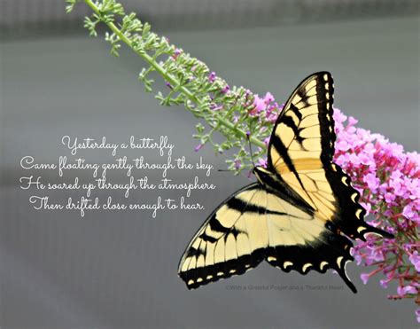 Yesterday A Butterfly Grateful Prayer Thankful Heart