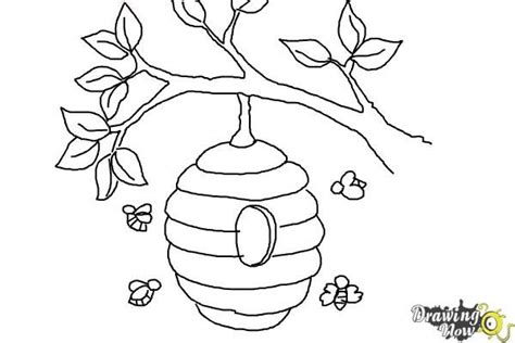 draw  beehive step  bee coloring pages bee drawing bee cards