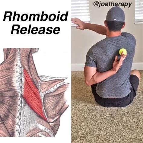 3236 Likes 97 Comments Joe Yoon Lmt Joetherapy On Instagram “rhomboid Release👌🏻👌🏻 Kn